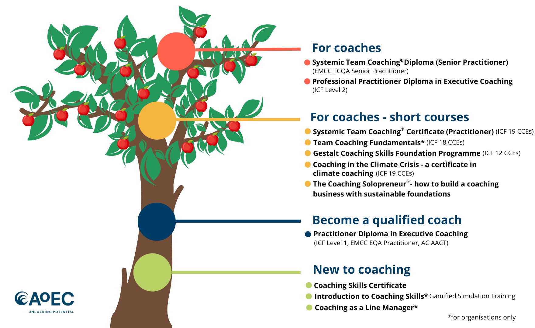 Infographic of tree showing all of AoEC's available programmes