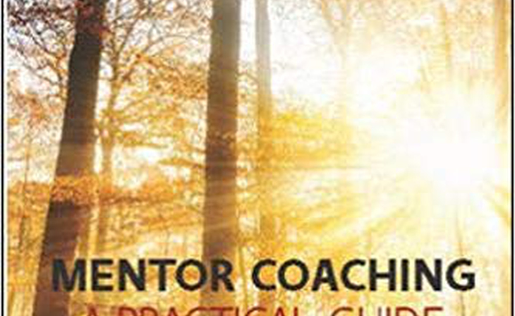 Mentor Coaching by Clare Norman